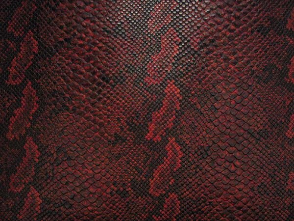 Red Snake leather