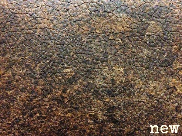 Brown Earth leather