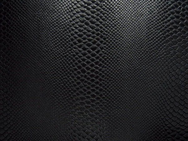 Black Snake leather