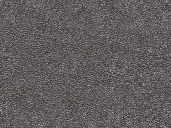 Grey Marshall leather