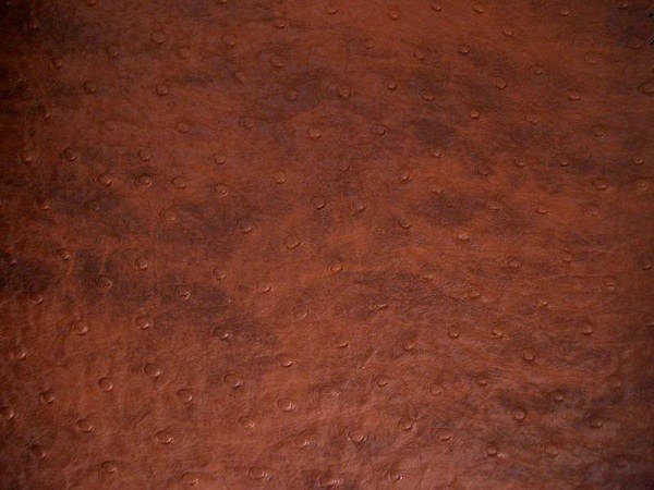 Brown Bird leather